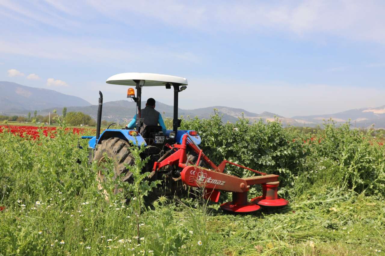 Büyükşehir’den Üreticiye Büyük Destek 2